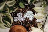 Plant Lovers Sticker Duo - Plant Lady and Monstera Leaf Designs